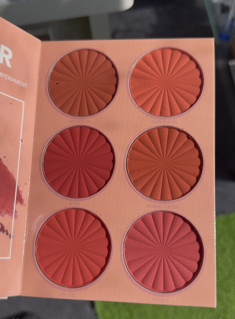 Cute girl book pallete - Image 4